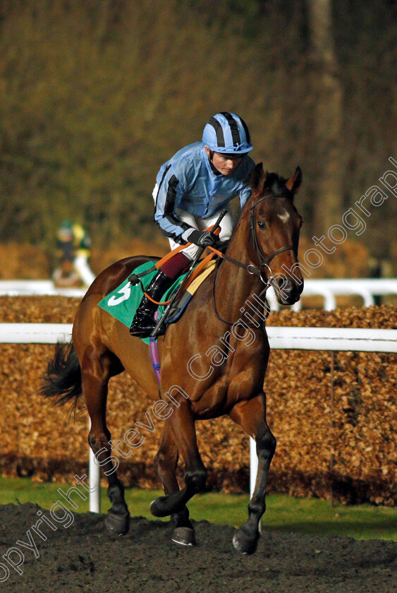 Allowed-0001 
 ALLOWED (Rob Hornby) winner of The Unibet Supporting Safe Gambling Fillies Handicap
Kempton 16 Feb 2022 - Pic Steven Cargill / Racingfotos.com