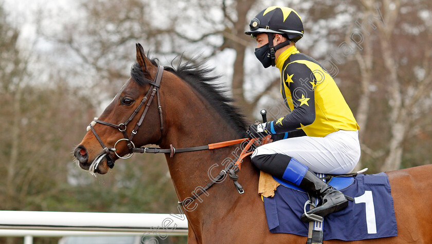 Blue-De-Vega-0001 
 BLUE DE VEGA (Benoit de la Sayette)
Lingfield 6 Mar 2021 - Pic Steven Cargill / Racingfotos.com