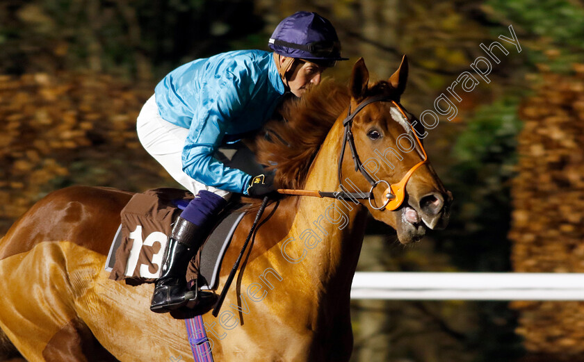 Resilient-Lady-0001 
 RESILIENT LADY (Jim Crowley)
Kempton 4 Dec 2024 - Pic Steven Cargill / Racingfotos.com