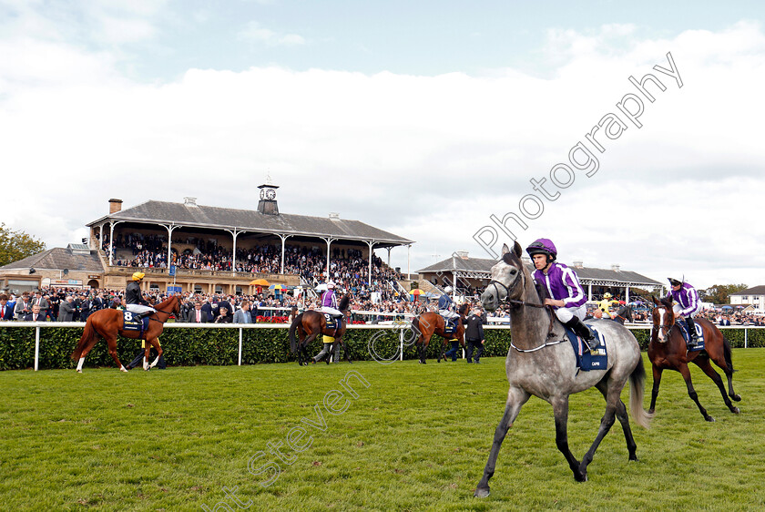 Capri-0001 
 CAPRI (Ryan Moore) before winning The William Hill St Leger Doncaster 16 Sep 2017 - Pic Steven Cargill / Racingfotos.com