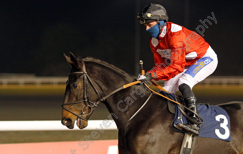 Be-My-Beau-0001 
 BE MY BEAU (Harrison Shaw)
Wolverhampton 7 Jan 2021 - Pic Steven Cargill / Racingfotos.com