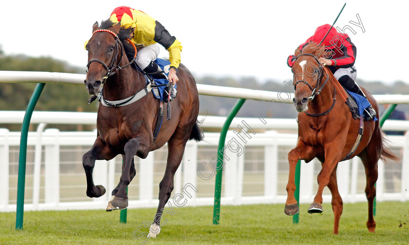 Kenzai-Warrior-0003 
 KENZAI WARRIOR (Jason Watson) beats MAX VEGA (right) in The Irish Thoroughbred Marketing Novice Stakes
Salisbury 5 Sep 2019 - Pic Steven Cargill / Racingfotos.com