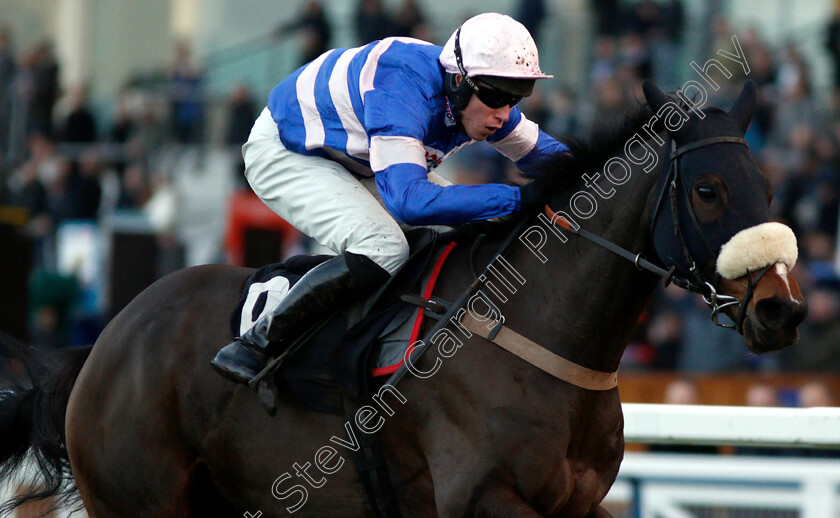 Darling-Maltaix-0006 
 DARLING MALTAIX (Lorcan Williams) wins The Thames Materials Conditional Jockeys Handicap Hurdle
Ascot 21 Dec 2018 - Pic Steven Cargill / Racingfotos.com