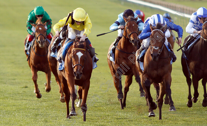 Nearooz-0003 
 NEAROOZ (left, David Egan) beats WATHEERAH (right) in The Godolphin Under Starters Orders Maiden Fillies Stakes Div1
Newmarket 12 Oct 2018 - Pic Steven Cargill / Racingfotos.com