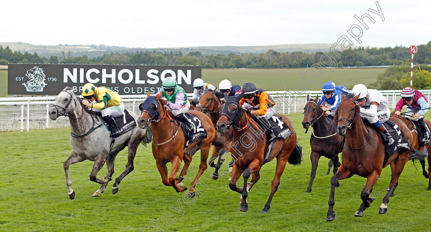 Lord-Riddiford-0003 
 LORD RIDDIFORD (left, Jason Hart) beats LIHOU (2nd left) NIGHT ON EARTH (2nd right) and DUSKY LORD (right) in The Nicholson Gin Handicap
Goodwood 26 Jul 2022 - Pic Steven Cargill / Racingfotos.com