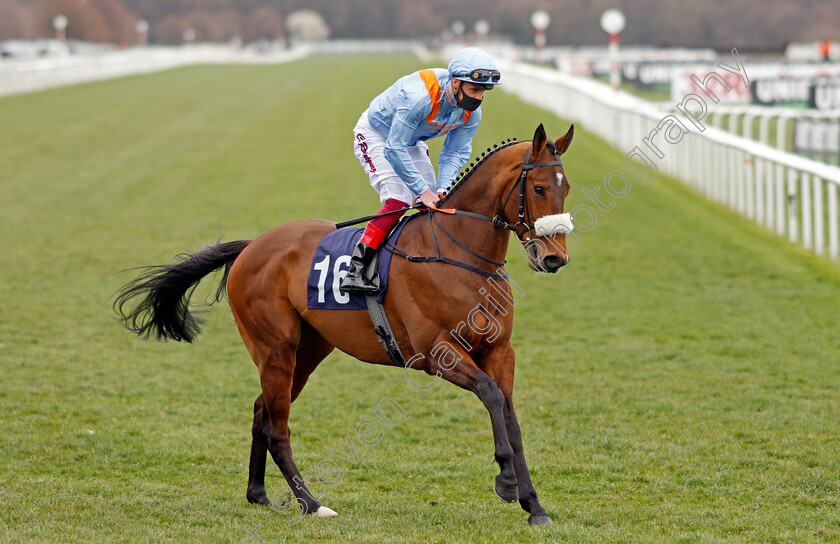 Red-Bond-0001 
 RED BOND (Callum Rodriguez)
Doncaster 28 Mar 2021 - Pic Steven Cargill / Racingfotos.com