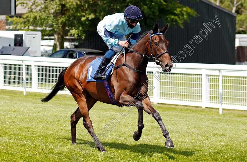 Cashew-0001 
 CASHEW (William Buick)
Salisbury 8 Jun 2021 - Pic Steven Cargill / Racingfotos.com