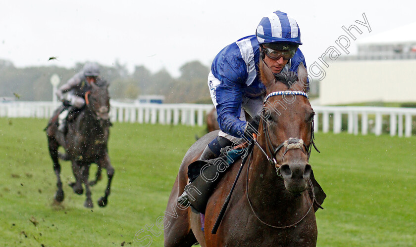 Hukum-0006 
 HUKUM (Jim Crowley) wins The ABF/BGC Cumberland Lodge Stakes
Ascot 2 Oct 2021 - Pic Steven Cargill / Racingfotos.com