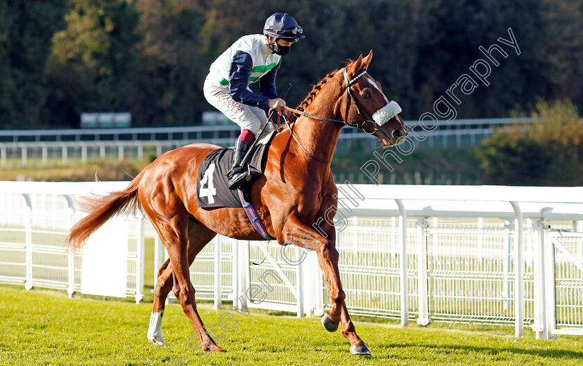 Juan-De-Montalban-0001 
 JUAN DE MONTALBAN (Oisin Murphy) winner of The Download The tote Placepot App EBF Novice Stakes
Goodwood 11 Oct 2020 - Pic Steven Cargill / Racingfotos.com