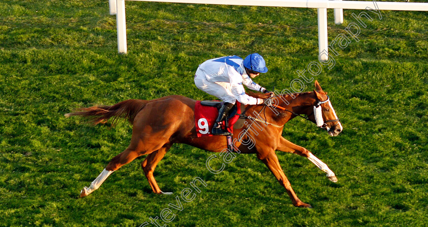 Peace-Prevails-0004 
 PEACE PREVAILS (Charlie Bennett) wins The ASD Contracts Handicap
Epsom 4 Jul 2019 - Pic Steven Cargill / Racingfotos.com