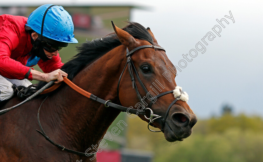 Bay-Bridge-0005 
 BAY BRIDGE (Ryan Moore) wins The BetVictor London Gold Cup
Newbury 15 May 2021 - Pic Steven Cargill / Racingfotos.com