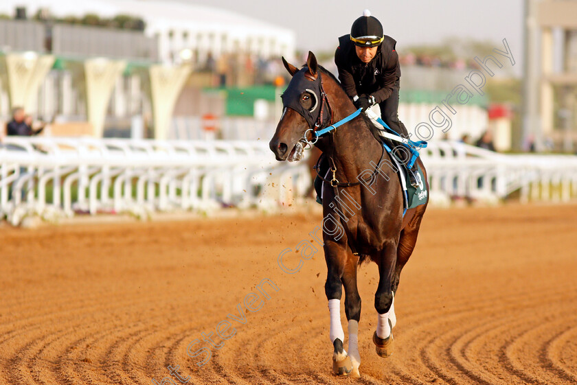 Midnight-Bourbon-0005 
 MIDNIGHT BOURBON training for the Saudi Cup
King Abdulaziz Racetrack, Riyadh, Saudi Arabia 24 Feb 2022 - Pic Steven Cargill / Racingfotos.com