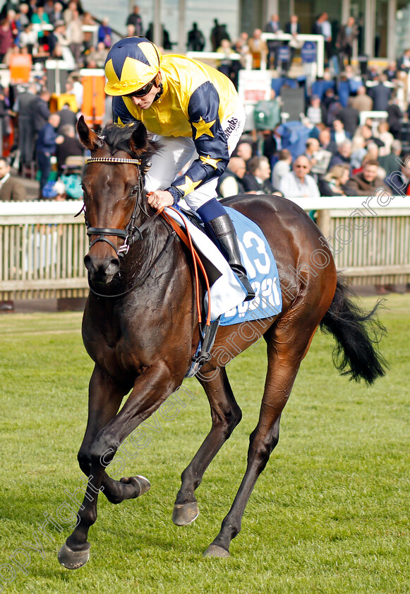 One-Minute-0001 
 ONE MINUTE (Jim Crowley) Newmarket 13 Oct 2017 - Pic Steven Cargill / Racingfotos.com