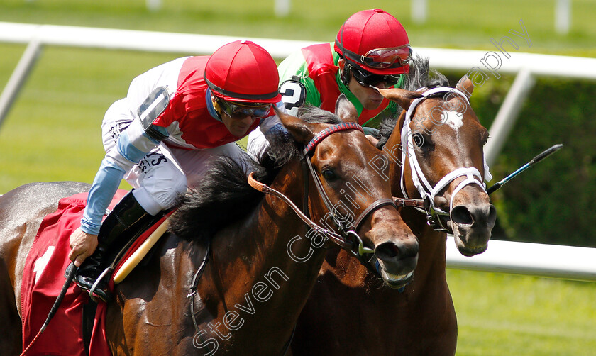 Pillar-Mountain-0004 
 PILLAR MOUNTAIN (right, Joel Rosario) beats HE'S NO LEMON (left) in Allowance
Belmont Park, USA 6 Jun 2019 - Pic Steven Cargill / Racingfotos.com