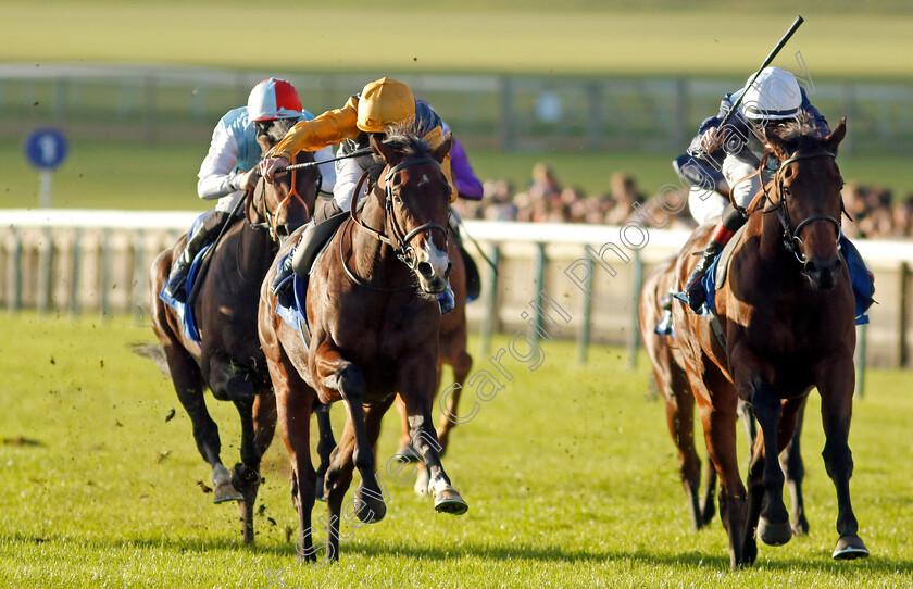 Fair-Angellica-0004 
 FAIR ANGELLICA (right, David Egan) beats WITNESS STAND (left) in The Godolphin Flying Start Nursery
Newmarket 14 Oct 2023 - Pic Steven Cargill / Racingfotos.com