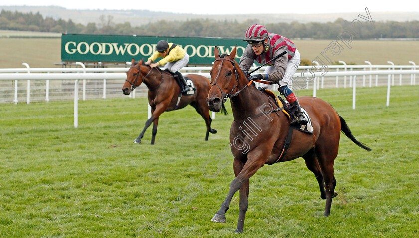 Pettochside-0003 
 PETTOCHSIDE (Toby Eley) wins The Heineken UK Apprentice Handicap
Goodwood 25 Sep 2019 - Pic Steven Cargill / Racingfotos.com