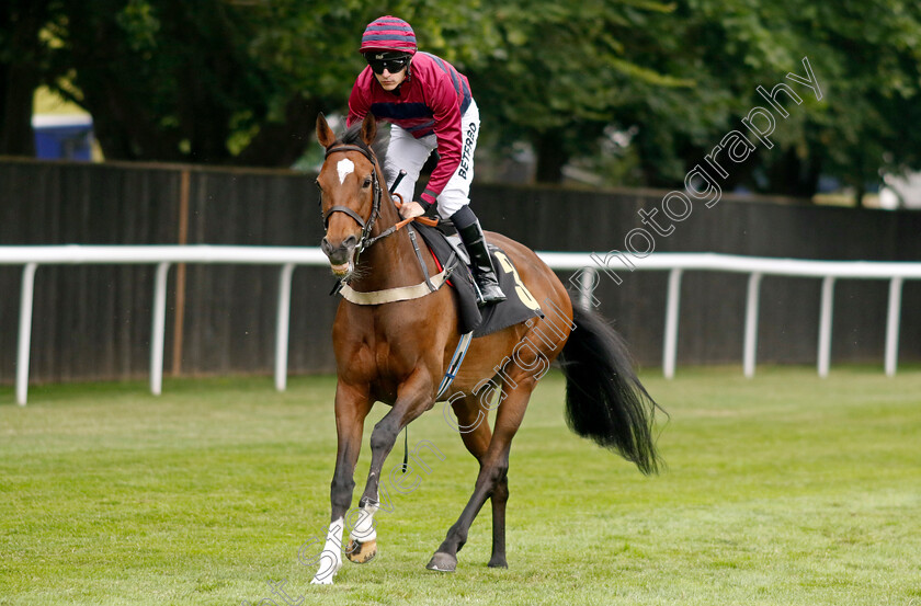 Flower-Of-Thunder-0001 
 FLOWER OF THUNDER (Richard Kingscote)
Newmarket 30 Jun 2023 - Pic Steven Cargill / Racingfotos.com