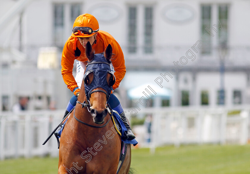 Angle-Land-0002 
 ANGLE LAND (Benoit de la Sayette)
Epsom 25 Apr 2023 - Pic Steven Cargill / Racingfotos.com