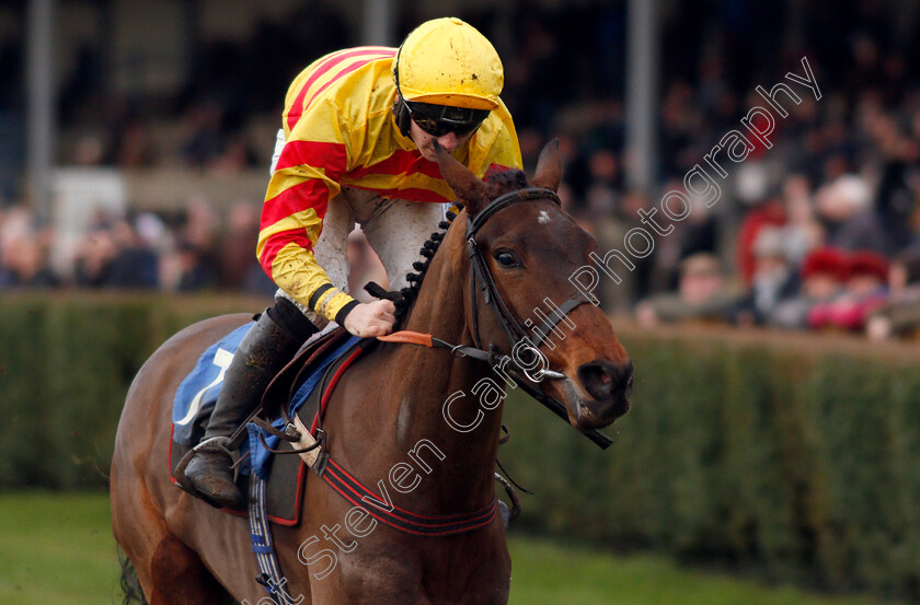 Runswick-Bay-0006 
 RUNSWICK BAY (Ben Jones) wins The Towergate Caravan Insurance Standard Open National Hunt Flat Race
Wincanton 30 Jan 2020 - Pic Steven Cargill / Racingfotos.com