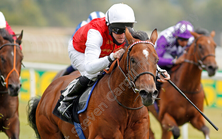 Royal-Scimitar-0005 
 ROYAL SCIMITAR (Liam Keniry) wins The bet365 EBF Novice Stakes
Newbury 19 Jul 2020 - Pic Steven Cargill / Racingfotos.com