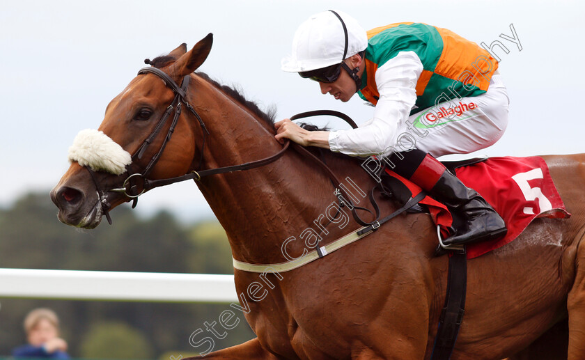 Vis-A-Vis-0004 
 VIS A VIS (Shane Kelly) wins The Randox Food Handicap
Sandown 16 Jun 2018 - Pic Steven Cargill / Racingfotos.com