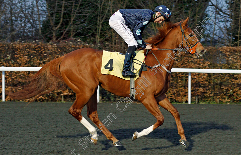 Ask-The-Dude-0001 
 ASK THE DUDE (Hector Crouch) Kempton 21 Mar 2018 - Pic Steven Cargill / Racingfotos.com