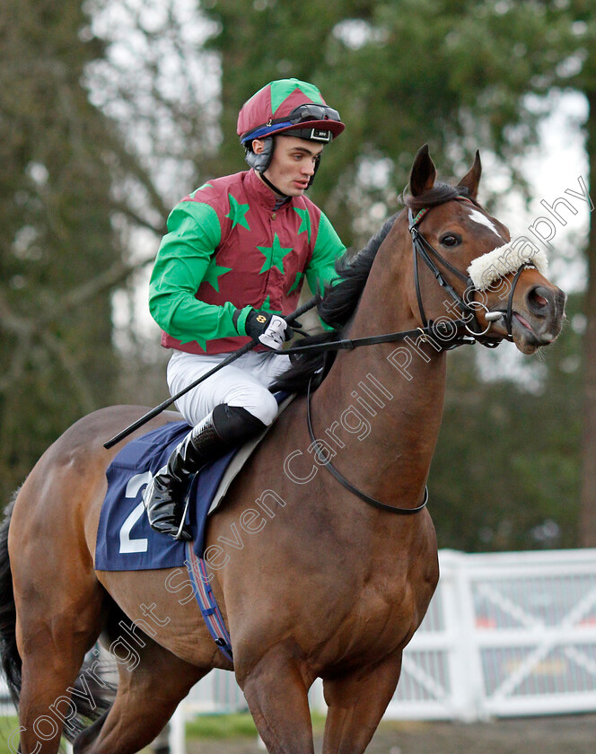 Creationist-0001 
 CREATIONIST (Connor Murtagh)
Lingfield 1 Dec 2021 - Pic Steven Cargill / Racingfotos.com