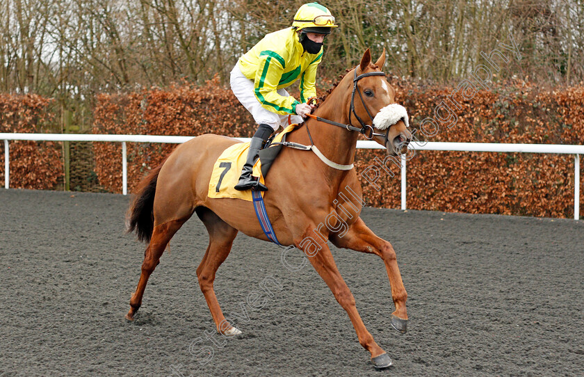 Nina s-Field-0001 
 NINA'S FIELD (Liam Keniry)
Kempton 16 Feb 2021 - Pic Steven Cargill / Racingfotos.com