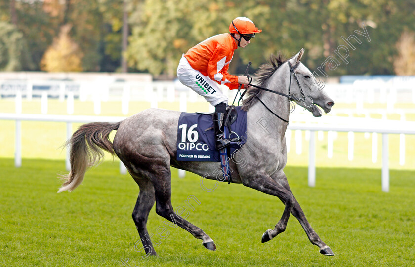 Forever-In-Dreams-0001 
 FOREVER IN DREAMS (Jamie Spencer)
Ascot 19 Oct 2019 - Pic Steven Cargill / Racingfotos.com