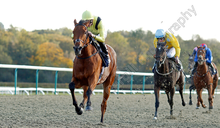 Maamora-0008 
 MAAMORA (James Doyle) wins The Coral EBF Fleur De Lys Fillies Stakes
Lingfield 28 Oct 2021 - Pic Steven Cargill / Racingfotos.com