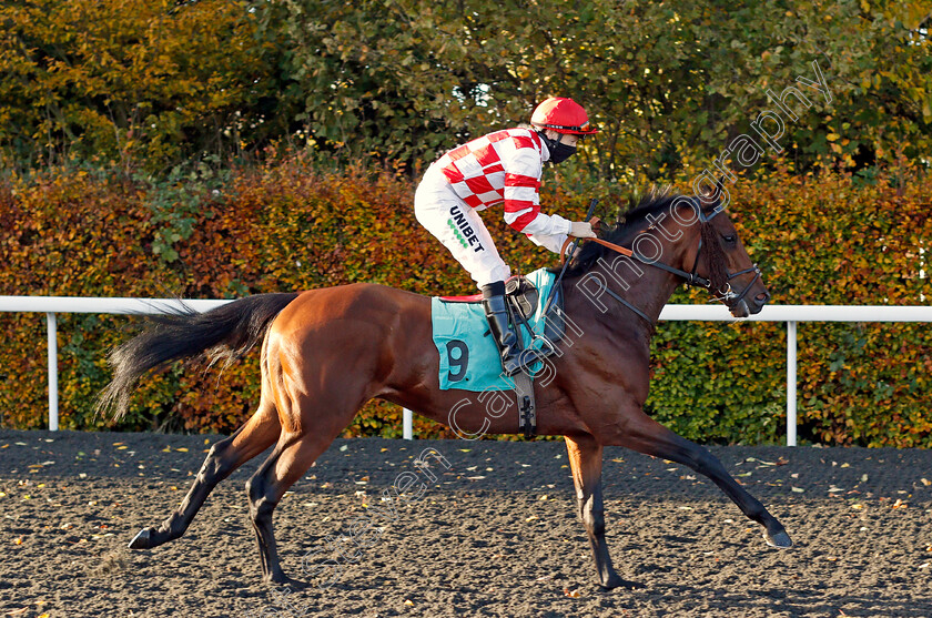 Maori-Knight-0002 
 MAORI KNIGHT (Jamie Spencer)
Kempton 2 Nov 2020 - Pic Steven Cargill / Racingfotos.com