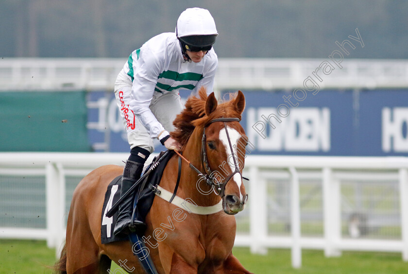 Mondo-Man-0001 
 MONDO MAN (Caoilin Quinn)
Ascot 18 Jan 2025 - Pic Steven Cargill / Racingfotos.com