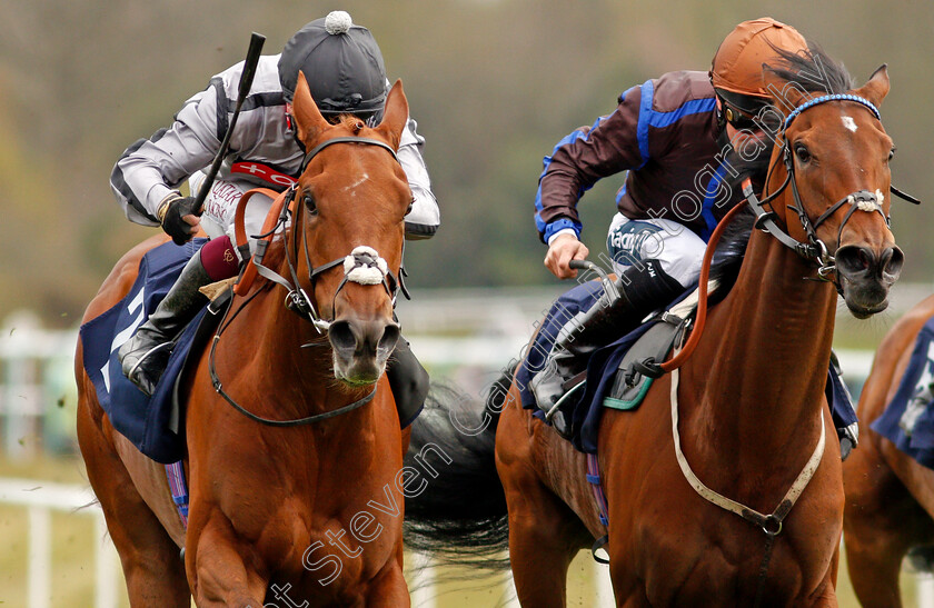 Bounce-The-Blues-and-Parent s-Prayer-0001 
 BOUNCE THE BLUES (left, Oisin Murphy) with PARENT'S PRAYER (right, Paul Mulrennan)
Lingfield 8 May 2021 - Pic Steven Cargill / Racingfotos.com