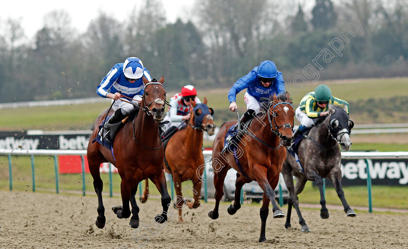 Bangkok-0004 
 BANGKOK (left, Ryan Moore) beats FOREST OF DEAN (right) in The Betway Winter Derby Trial Stakes
Lingfield 6 Feb 2021 - Pic Steven Cargill / Racingfotos.com