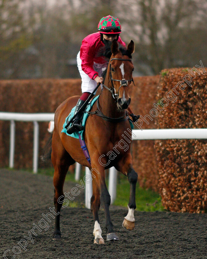 Sunshine-Fun-0001 
 SUNSHINE FUN (Saffie Osborne)
Kempton 31 Mar 2021 - Pic Steven Cargill / Racingfotos.com