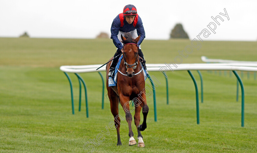 Twilight-Jet-0001 
 TWILIGHT JET (L F Roche) winner of The Newmarket Academy Godolphin Beacon Project Cornwallis Stakes
Newmarket 8 Oct 2021 - Pic Steven Cargill / Racingfotos.com