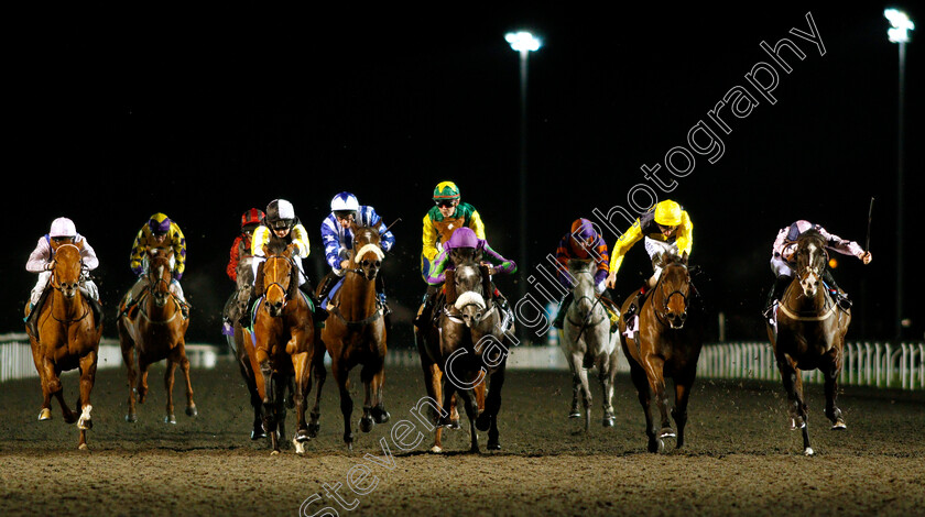 Little-Palaver-and-Mont-Kiara-0003 
 LITTLE PALAVER (2nd left, Amelia Glass) dead-heats with MONT KIARA (2nd right) ahead of TREACHEROUS (right) and SOAR ABOVE (centre) in The 32Red Casino Handicap
Kempton 16 Jan 2019 - Pic Steven Cargill / Racingfotos.com