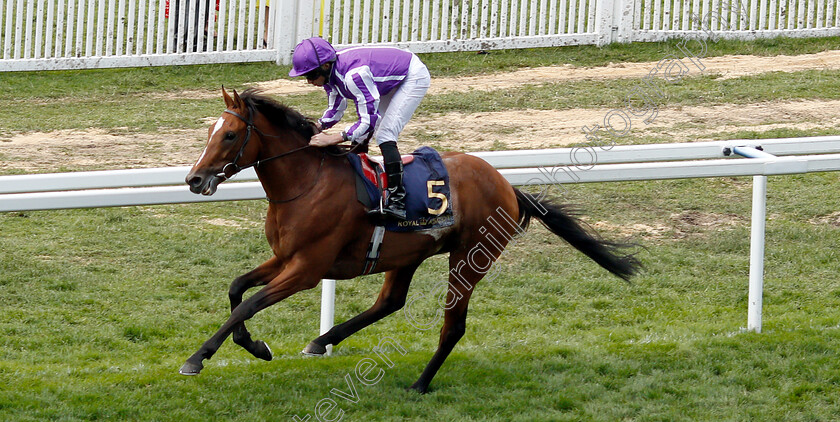 Japan-0004 
 JAPAN (Ryan Moore) wins The King Edward VII Stakes
Royal Ascot 21 Jun 2019 - Pic Steven Cargill / Racingfotos.com