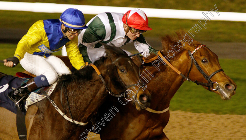 Zafaranah-0005 
 ZAFARANAH (right, Rob Hornby) beats ZORAYA (left) in The Ladbrokes Fillies Handicap 
Wolverhampton 7 Jan 2019 - Pic Steven Cargill / Racingfotos.com