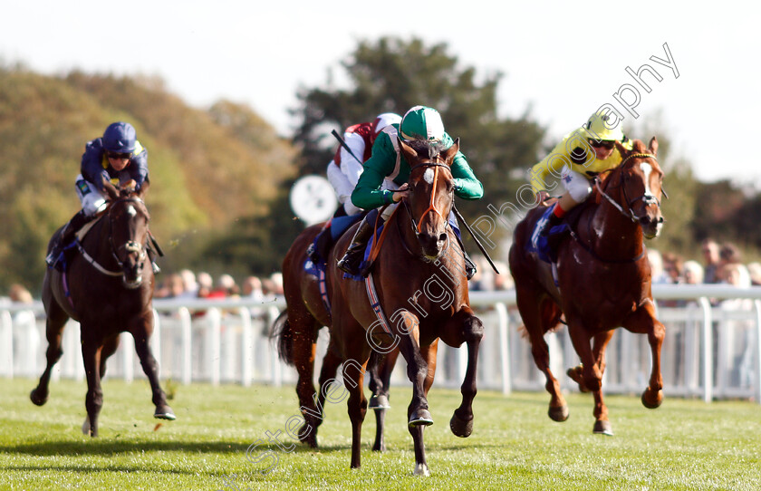 Kaloor-0003 
 KALOOR (Jim Crowley) wins The PKF Francis Clark EBF Novice Stakes Div1
Salisbury 3 Oct 2018 - Pic Steven Cargill / Racingfotos.com