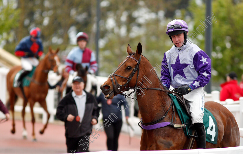 Sam-Cavallaro-0001 
 SAM CAVALLARO (Bryan Carver) winner of The Cheltenham Club Open Hunters Chase
Cheltenham 3 May 2019 - Pic Steven Cargill / Racingfotos.com