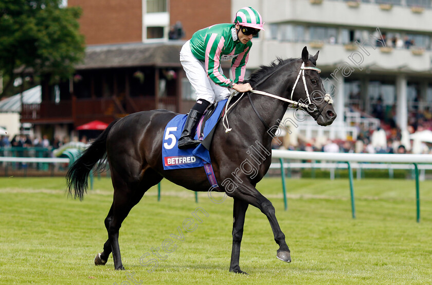 Pogo-0002 
 POGO (Kieran Shoemark)
Haydock 8 Jun 2024 - Pic Steven Cargill / Racingfotos.com