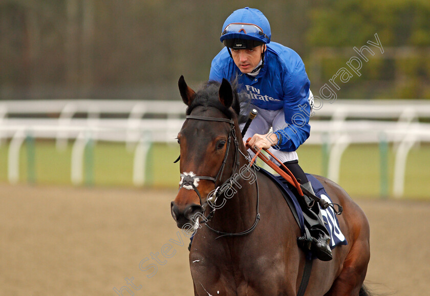 Suhayl-Moon-0001 
 SUHAYL MOON (Martin Harley) Lingfield 20 Dec 2017 - Pic Steven Cargill / Racingfotos.com