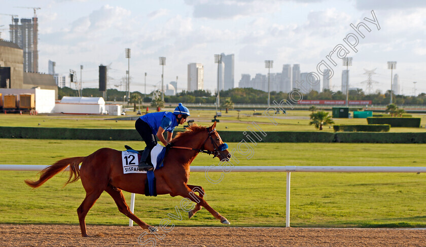 Sisfahan-0001 
 SISFAHAN training for the Dubai Gold Cup
Meydan, Dubai, 23 Mar 2023 - Pic Steven Cargill / Racingfotos.com