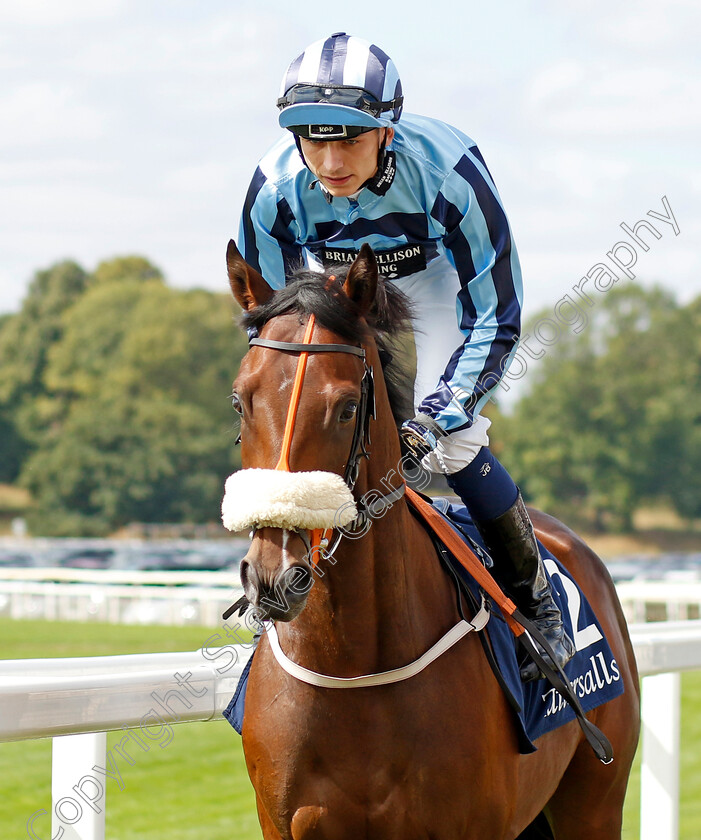 Chillhi 
 CHILLHI (Ben Robinson)
York 17 Aug 2022 - Pic Steven Cargill / Racingfotos.com