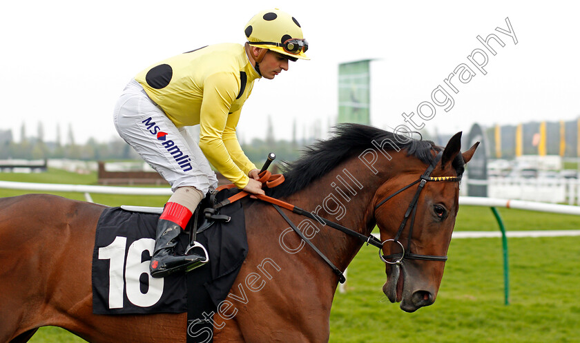 Sharja-Silk-0001 
 SHARJA SILK (Andrea Atzeni) Newbury 21 Apr 2018 - Pic Steven Cargill / Racingfotos.com