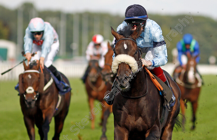 Title-0007 
 TITLE (David Egan) wins The Hippo Pro 3 Handicap
Doncaster 11 Sep 2021 - Pic Steven Cargill / Racingfotos.com