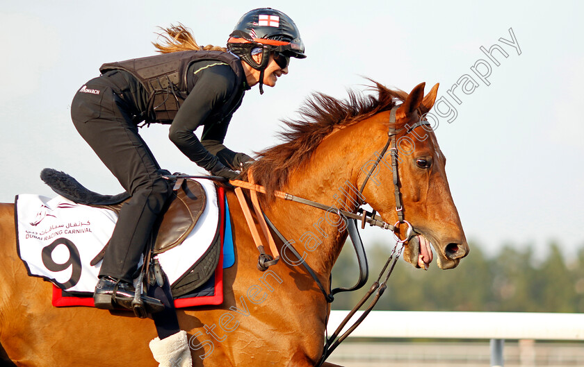 Traila-0001 
 TRAILA training at the Dubai Racing Carnival 
Meydan 4 Jan 2024 - Pic Steven Cargill / Racingfotos.com