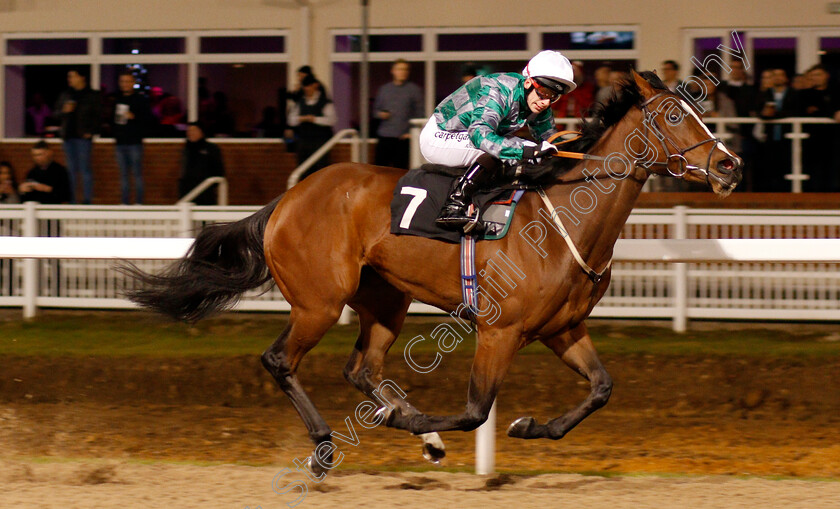 Karijini-0003 
 KARIJINI (Edward Greatrex) wins The Bet toteexacta At betfred.com Maiden Stakes Chelmsford 8 Dec 2017 - Pic Steven Cargill / Racingfotos.com