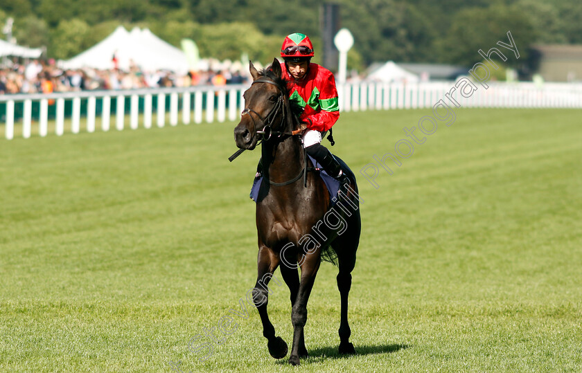 Voyage-0001 
 VOYAGE (Pat Dobbs)
Royal Ascot 21 Jun 2024 - Pic Steven Cargill / Racingfotos.com